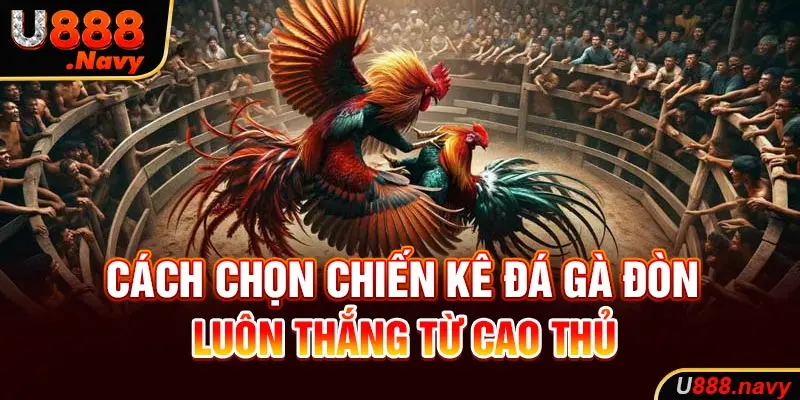 Cách chọn chiến kê luôn thắng từ cao thủ