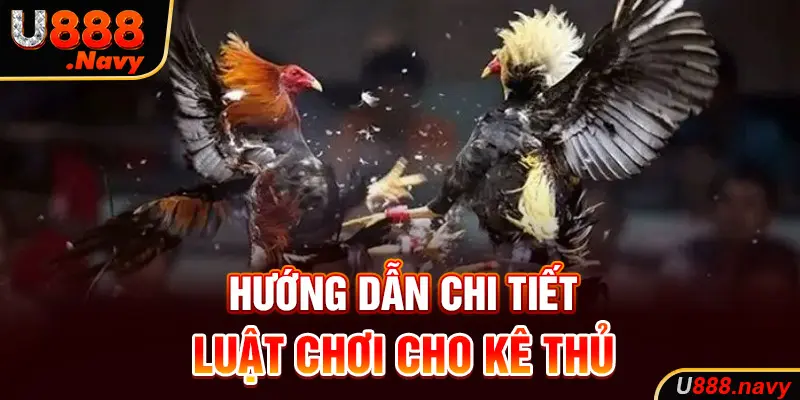 Hướng dẫn chi tiết luật chơi cho kê thủ