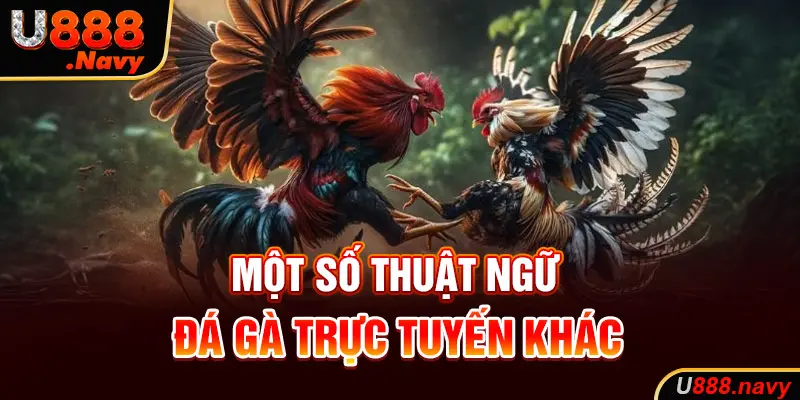 Một số thuật ngữ đá gà khác