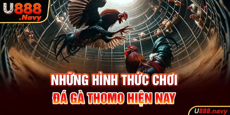 Những hình thức chơi đá gà thomo hiện nay