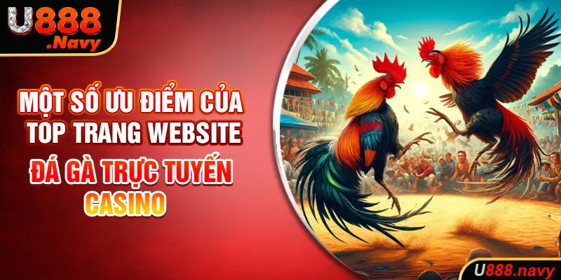 Một số ưu điểm của website đá gà trực tuyến 